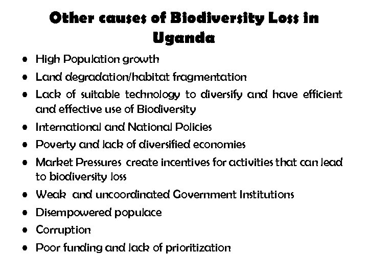 Other causes of Biodiversity Loss in Uganda • High Population growth • Land degradation/habitat
