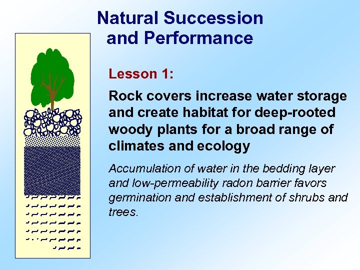 Natural Succession and Performance Lesson 1: Rock covers increase water storage and create habitat