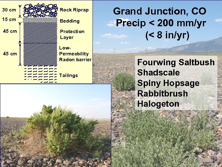 30 cm Rock Riprap 15 cm Bedding 45 cm Protection Layer 45 cm Low.