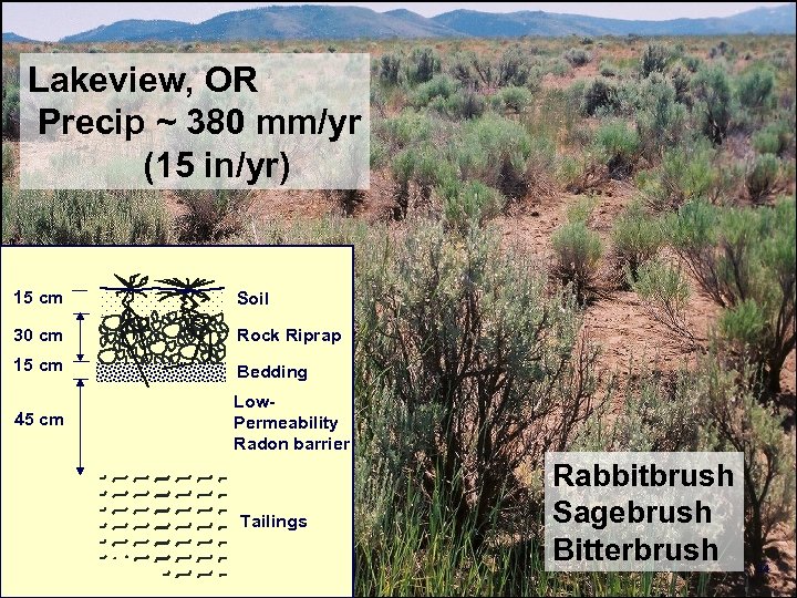 Lakeview, OR Precip ~ 380 mm/yr (15 in/yr) 15 cm Soil 30 cm Rock