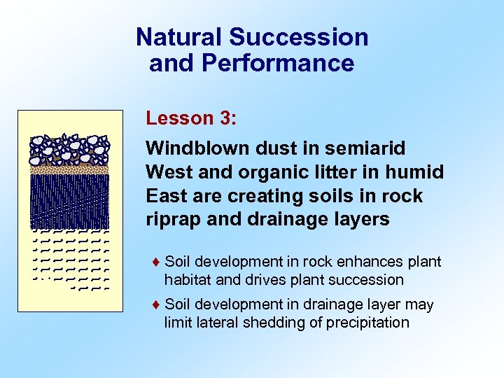 Natural Succession and Performance Lesson 3: Windblown dust in semiarid West and organic litter
