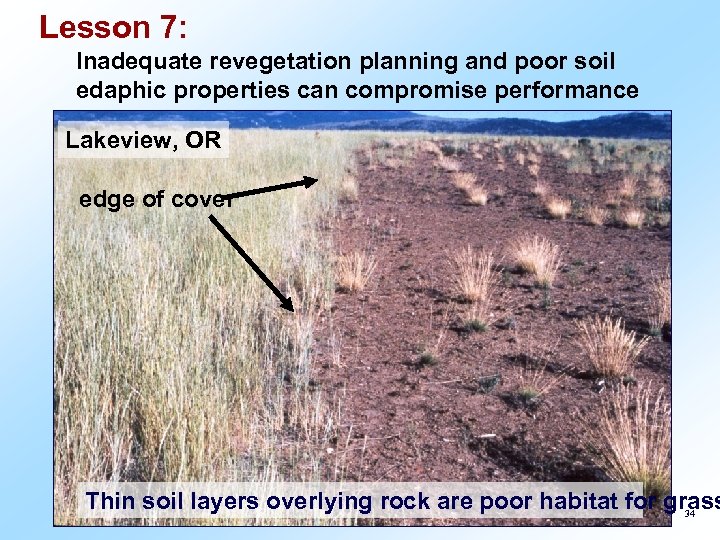 Lesson 7: Inadequate revegetation planning and poor soil edaphic properties can compromise performance Lakeview,