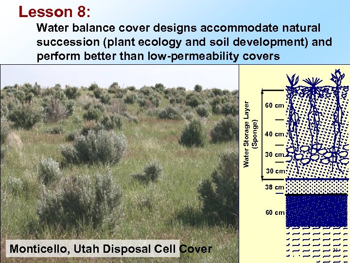 Lesson 8: Water Storage Layer (Sponge) Water balance cover designs accommodate natural succession (plant