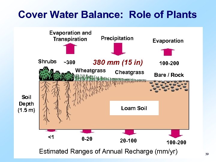 Cover Water Balance: Role of Plants Shrubs 380 mm (15 in) ~380 Wheatgrass Soil