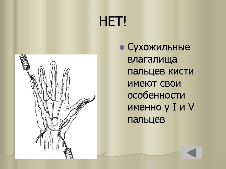 НЕТ! l Сухожильные влагалища пальцев кисти имеют свои особенности именно у I и V