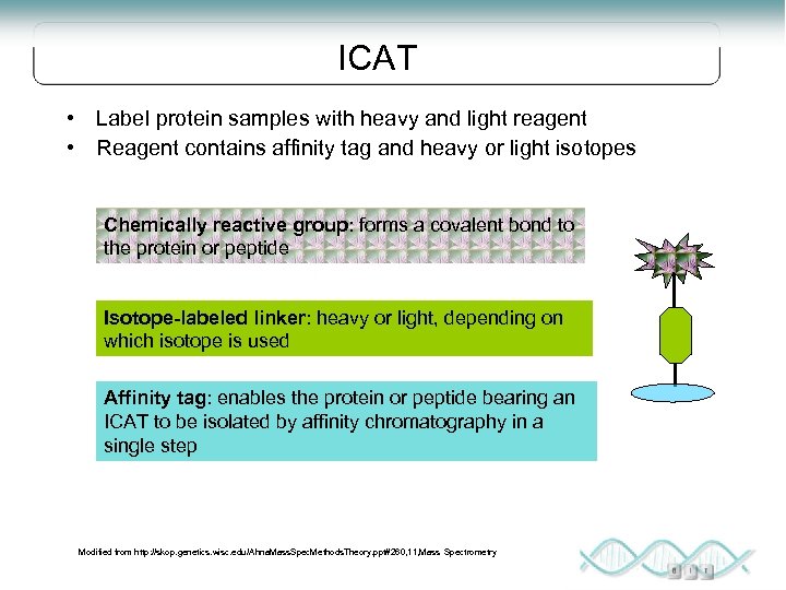 ICAT • Label protein samples with heavy and light reagent • Reagent contains affinity