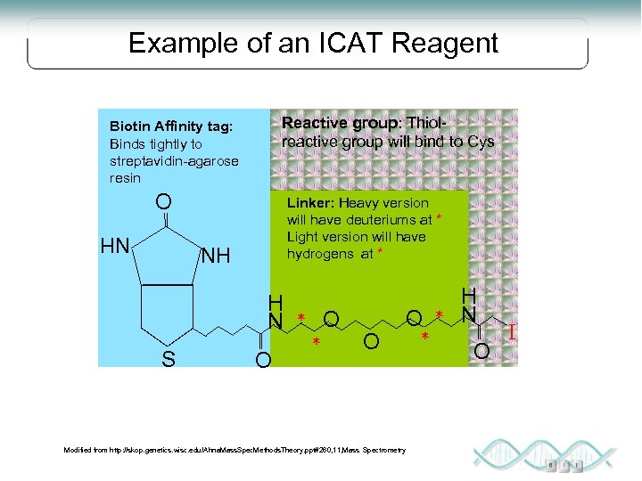 Example of an ICAT Reagent Reactive group: Thiolreactive group will bind to Cys Biotin