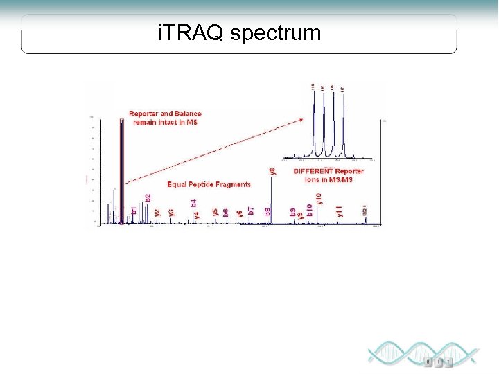 i. TRAQ spectrum 