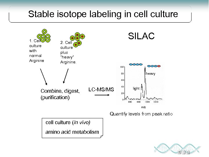 Stable isotope labeling in cell culture 1. Cell culture with normal Arginine SILAC 2.