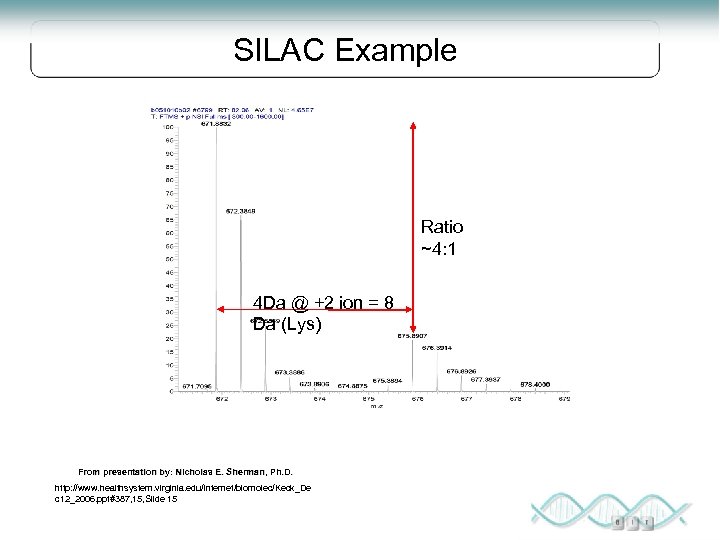SILAC Example Ratio ~4: 1 4 Da @ +2 ion = 8 Da (Lys)