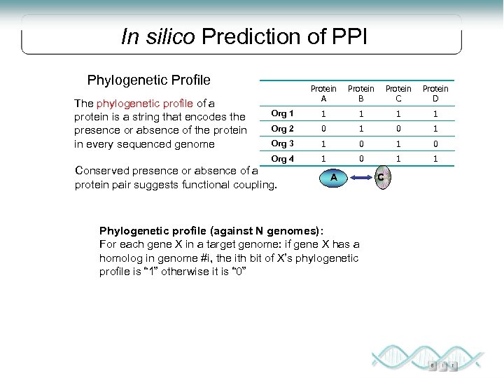 In silico Prediction of PPI Phylogenetic Profile Protein B Protein C Protein D Org
