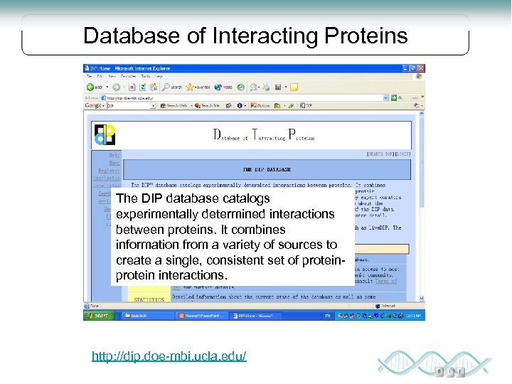 Database of Interacting Proteins The DIP database catalogs experimentally determined interactions between proteins. It