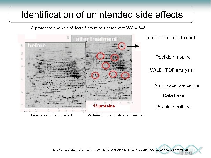 Identification of unintended side effects A proteome analysis of livers from mice traeted with