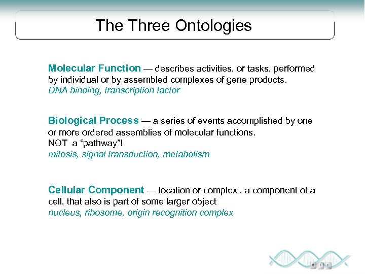 The Three Ontologies Molecular Function — describes activities, or tasks, performed by individual or