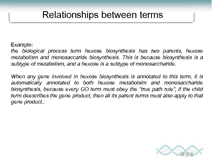 Relationships between terms Example: the biological process term hexose biosynthesis has two parents, hexose