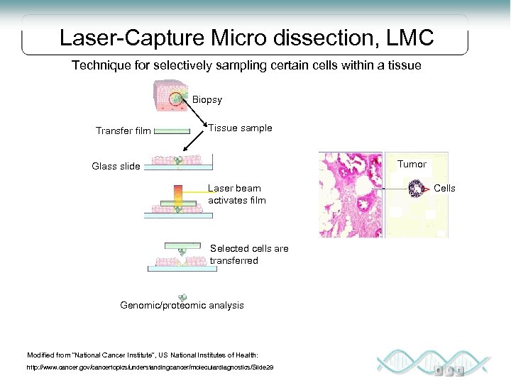Laser-Capture Micro dissection, LMC Technique for selectively sampling certain cells within a tissue Biopsy