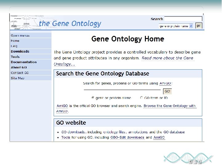 Gene Ontology Home 
