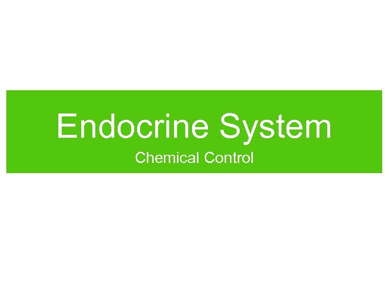 Endocrine System Chemical Control 