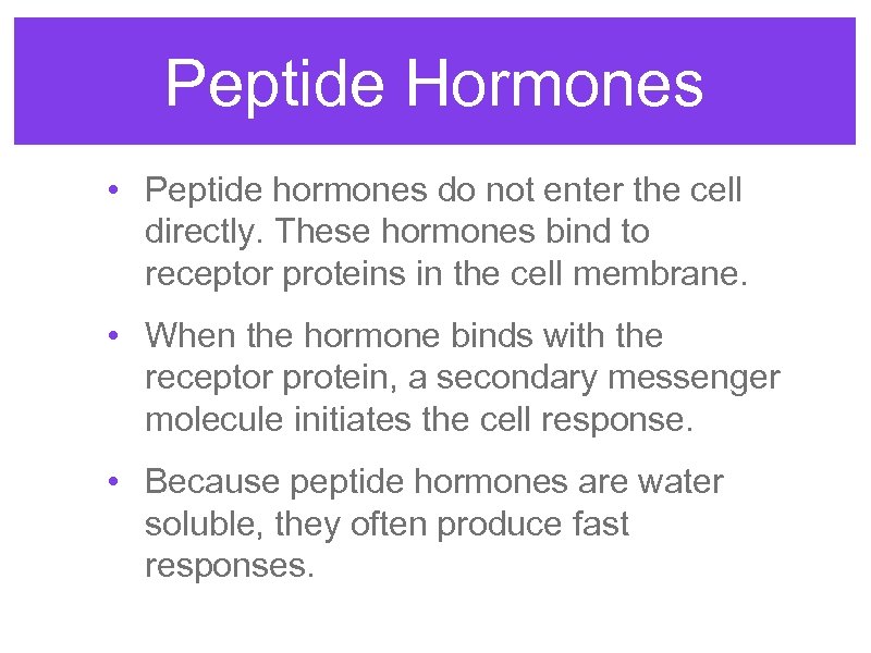 Peptide Hormones • Peptide hormones do not enter the cell directly. These hormones bind