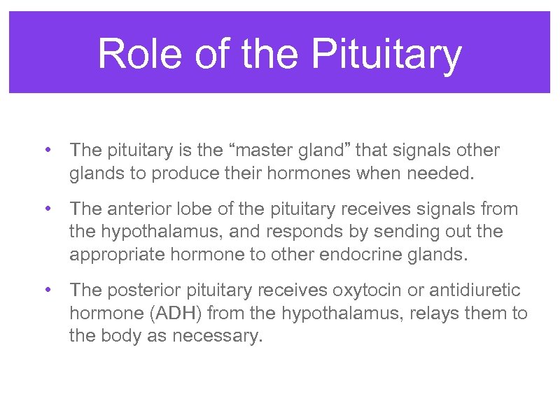 Role of the Pituitary • The pituitary is the “master gland” that signals other