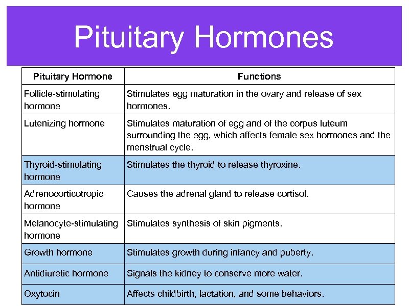 Pituitary Hormones Pituitary Hormone Functions Follicle-stimulating hormone Stimulates egg maturation in the ovary and