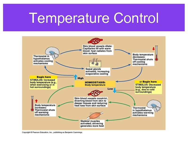 Temperature Control 