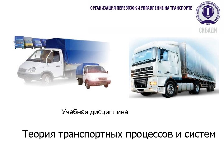 Учебная дисциплина Теория транспортных процессов и систем 