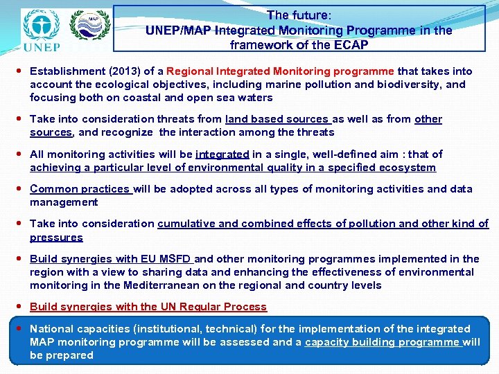 The future: UNEP/MAP Integrated Monitoring Programme in the framework of the ECAP Establishment (2013)