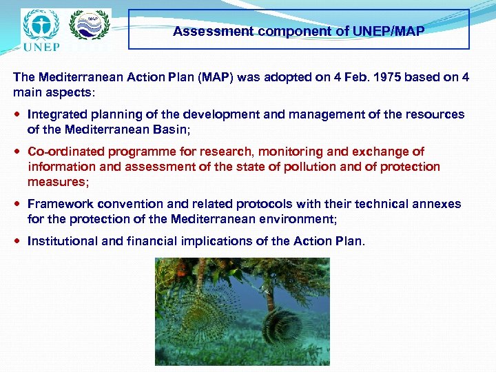 Assessment component of UNEP/MAP The Mediterranean Action Plan (MAP) was adopted on 4 Feb.