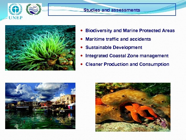 Studies and assessments Biodiversity and Marine Protected Areas Maritime traffic and accidents Sustainable Development