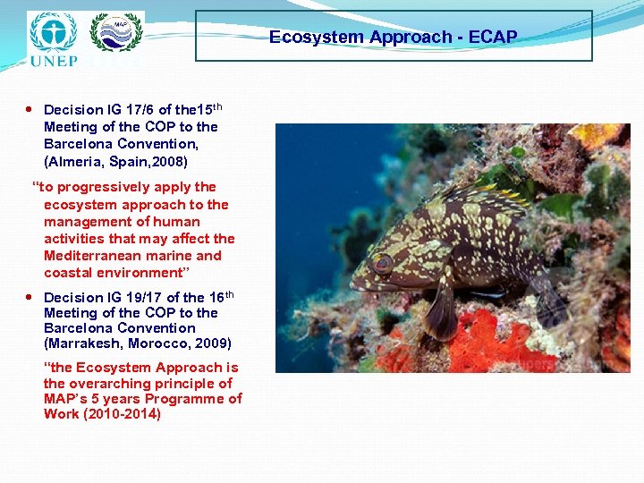 Ecosystem Approach - ECAP Decision IG 17/6 of the 15 th Meeting of the