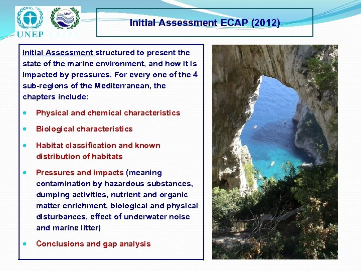 Initial Assessment ECAP (2012) Initial Assessment structured to present the state of the marine