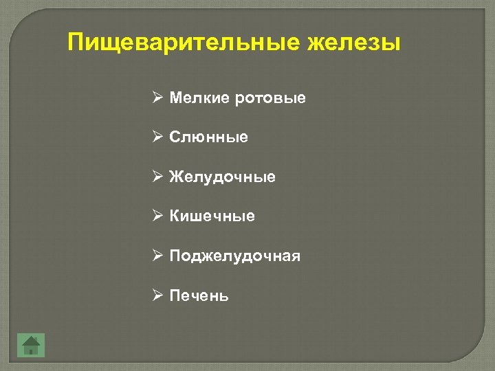 Пищеварительные железы Ø Мелкие ротовые Ø Слюнные Ø Желудочные Ø Кишечные Ø Поджелудочная Ø