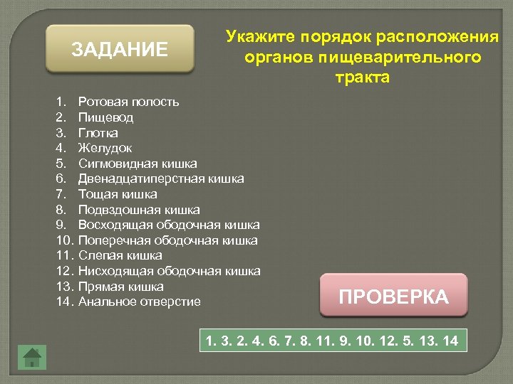 ЗАДАНИЕ Укажите порядок расположения органов пищеварительного тракта 1. Ротовая полость 2. Пищевод 3. Глотка