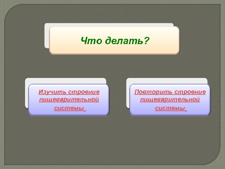 Что делать? Изучить строение пищеварительной системы Повторить строение пищеварительной системы 