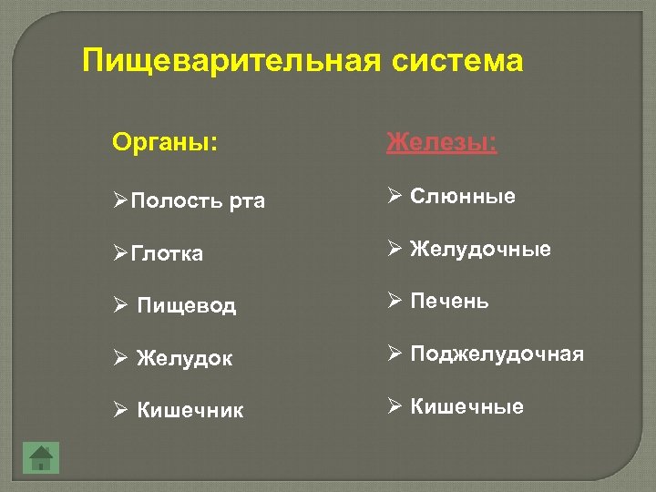 Пищеварительная система Органы: Железы: ØПолость рта Ø Слюнные ØГлотка Ø Желудочные Ø Пищевод Ø