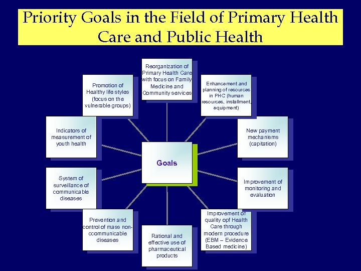 Priority Goals in the Field of Primary Health Care and Public Health Promotion of