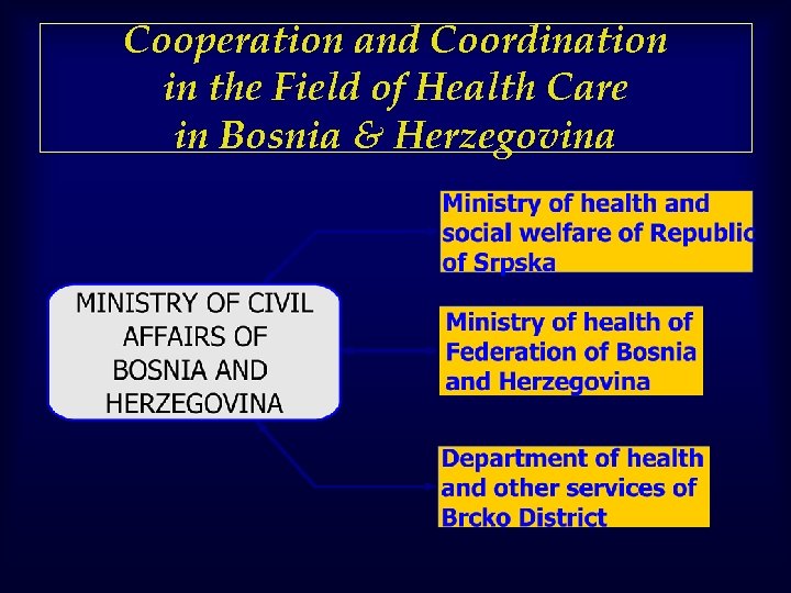 Cooperation and Coordination in the Field of Health Care in Bosnia & Herzegovina 