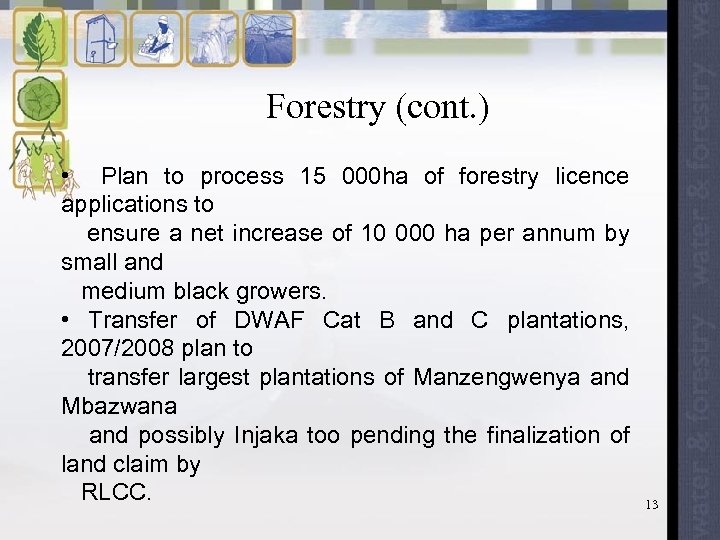 Forestry (cont. ) • Plan to process 15 000 ha of forestry licence applications