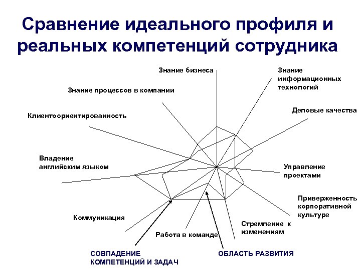 Сравнение идеального профиля и реальных компетенций сотрудника Знание бизнеса Знание процессов в компании Знание