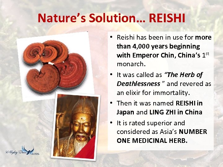 Nature’s Solution… REISHI • Reishi has been in use for more than 4, 000