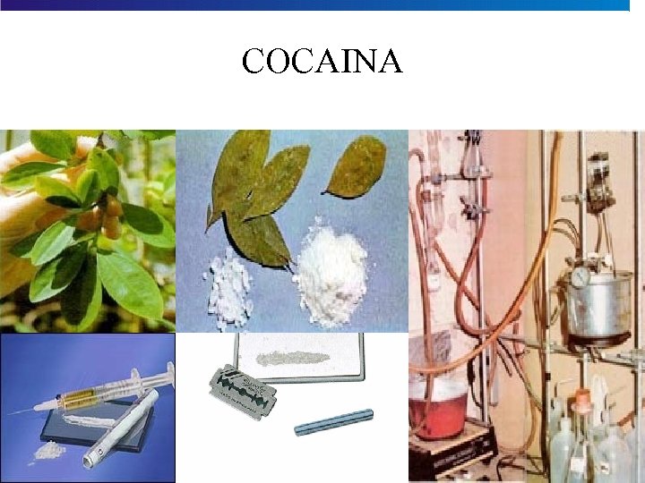 COCAINA 