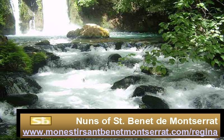 Nuns of St. Benet de Montserrat www. monestirsantbenetmontserrat. com/regina 