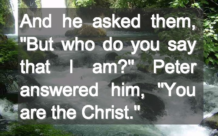 And he asked them, "But who do you say that I am? " Peter