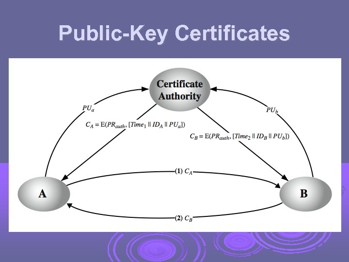 Public-Key Certificates 