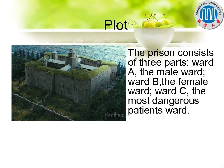 Plot The prison consists of three parts: ward A, the male ward; ward B,