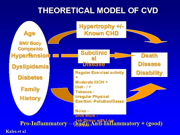 THEORETICAL MODEL OF CVD Age BMI/ Body Compositio n Hypertension Dyslipidemia Hypertrophy +/Known CHD