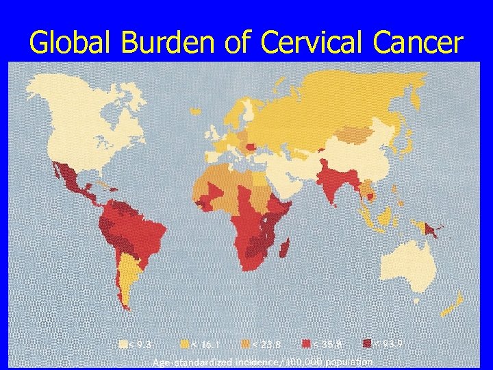 Global Burden of Cervical Cancer 