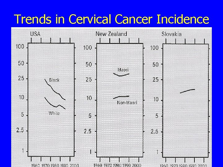 Trends in Cervical Cancer Incidence 