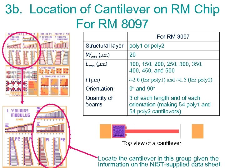 3 b. Location of Cantilever on RM Chip For RM 8097 Structural layer poly